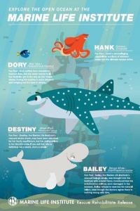 Finding Dory: Marine Life Interviews