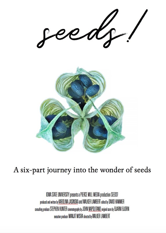 Seeds!