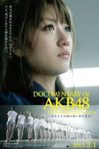Documentary of AKB48: No Flower Without Rain