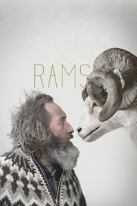 Rams (Hrutar)