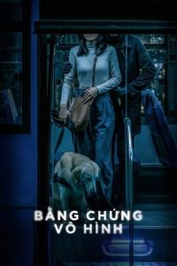 Invisible Evidence (Bang Chung Vo Hinh)