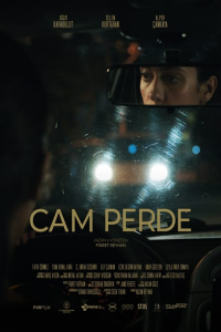 Glass Curtain (Cam Perde)
