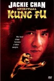 Spiritual Kung Fu (Quan jing)