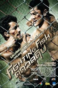 Brawl (Fighting Fish)