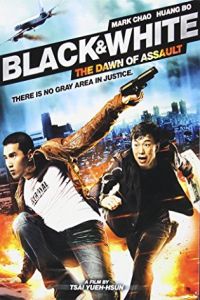 Black & White: The Dawn of Justice (Pi Zi Ying Xiong 2)