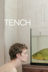 Tench (Muidhond)