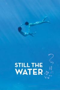 Still the Water (Futatsume no mado)