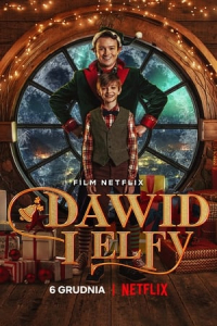 Dawid i Elfy (David and the Elves)