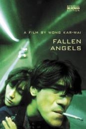 Fallen Angels (Do lok tin si)