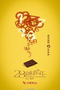 Suddenly Seventeen (28 Sui Wei Chengnian)