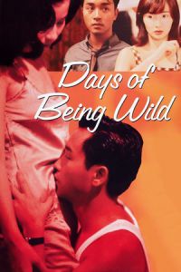 Days of Being Wild (Ah fei zing zyun)