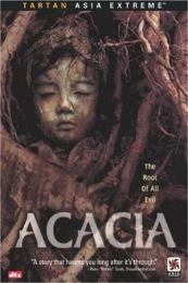 Acacia (Akasia)