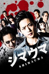 Zebra (Shimauma)