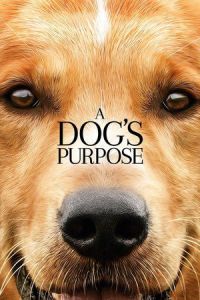 A Dog’s Purpose 