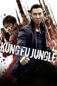 Kung Fu Killer (Yi ge ren de wu lin)