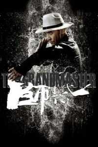 The Grandmaster (Yi dai zong shi)