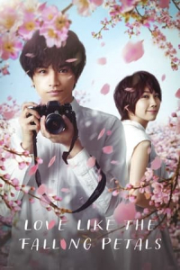 Love Like the Falling Petals (My Dearest, Like a Cherry Blossom)