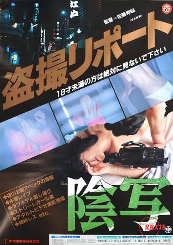 Poster Turtle Vision