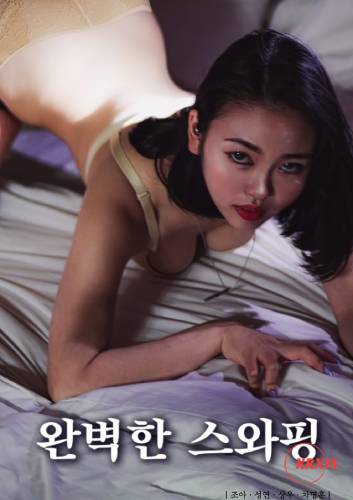 Poster Perfect Swapping