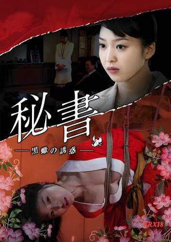 Poster Passions of a Private Secretary