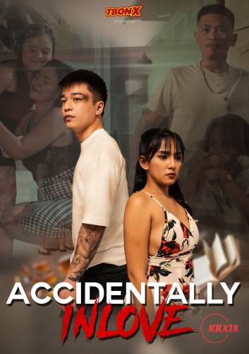 Poster Accidentally In Love