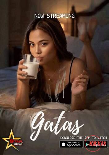Poster Gatas