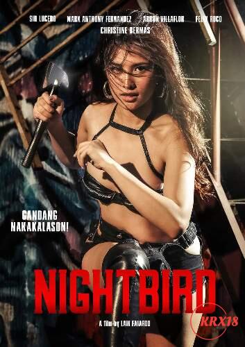 Poster Nightbird