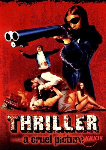 Poster Thriller: A Cruel Picture
