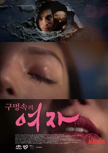 Poster The Woman In The Hole