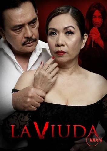Poster La Viuda