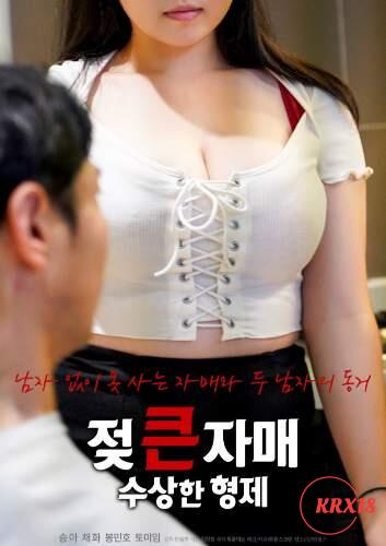 Poster Bosomy Sisters and Suspicious Brothers