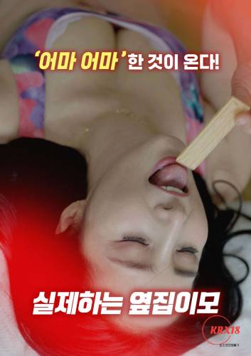 Poster Real Life Auntie Next Door