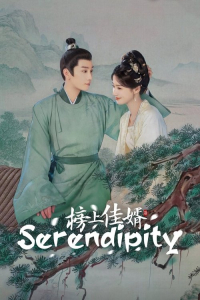 Poster Serendipity (2025)