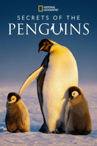 Poster Secrets of the Penguins (2025)
