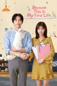 Poster Because This Is My First Life (2017)