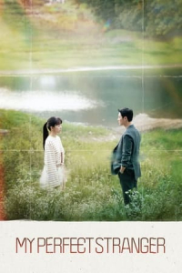 Poster My Perfect Stranger (2023)