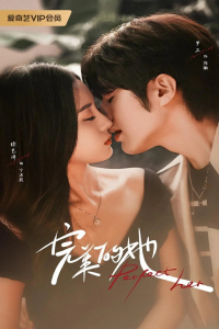 Poster Perfect Her (2024)
