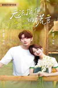 Poster Liars in Love (2024)