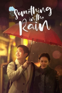 Poster Something in the Rain (2020)