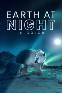 Poster Earth at Night in Color (2020)