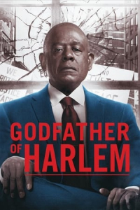 Poster Godfather of Harlem (2019)