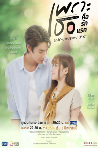 Poster A Love So Beautiful (2024)
