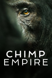 Poster Chimp Empire (2023)