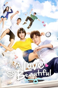 Poster Zhi Wo Men Dan Chun De Xiao Mei Hao (A Love So Beautiful) (2017)