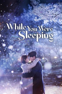 Poster While You Were Sleeping (Dangshini Jamdeun Saie) (2017)