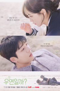 Poster Serendipity’s Embrace (2024)