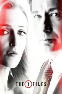 Poster The X-Files (The X Files) (1993)