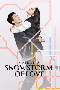 Poster Amidst a Snowstorm of Love (2024)