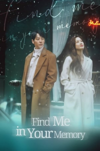 Poster Find Me in Your Memory (2020)