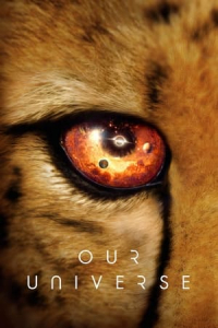 Poster Our Universe (2022)